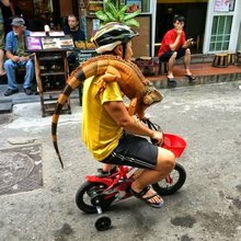 �������, ���������� � �������� ����