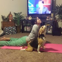 �������, ���������� � �������� ����