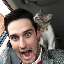 funny animals