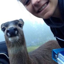 funny animals