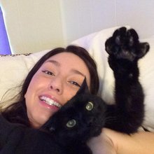 funny animals