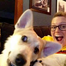 funny animals