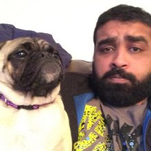 funny animals