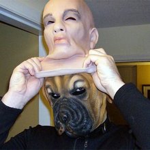 �������, ���������� � �������� ����