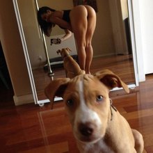 �������, ���������� � �������� ����
