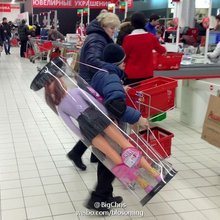 �������, ���������� � �������� ����