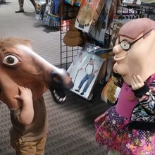 �������, ���������� � �������� ����
