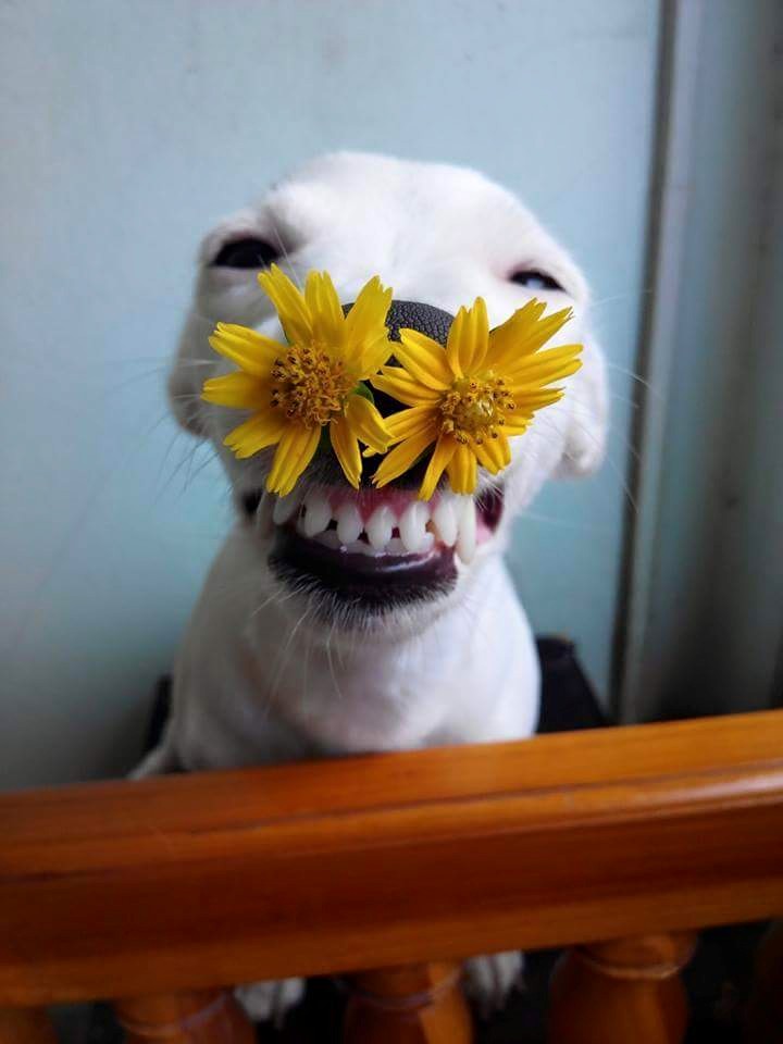 �������, ���������� � �������� ����