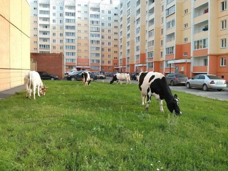 смешные, интересные и красивые фото смешные, интересные и красивые фото