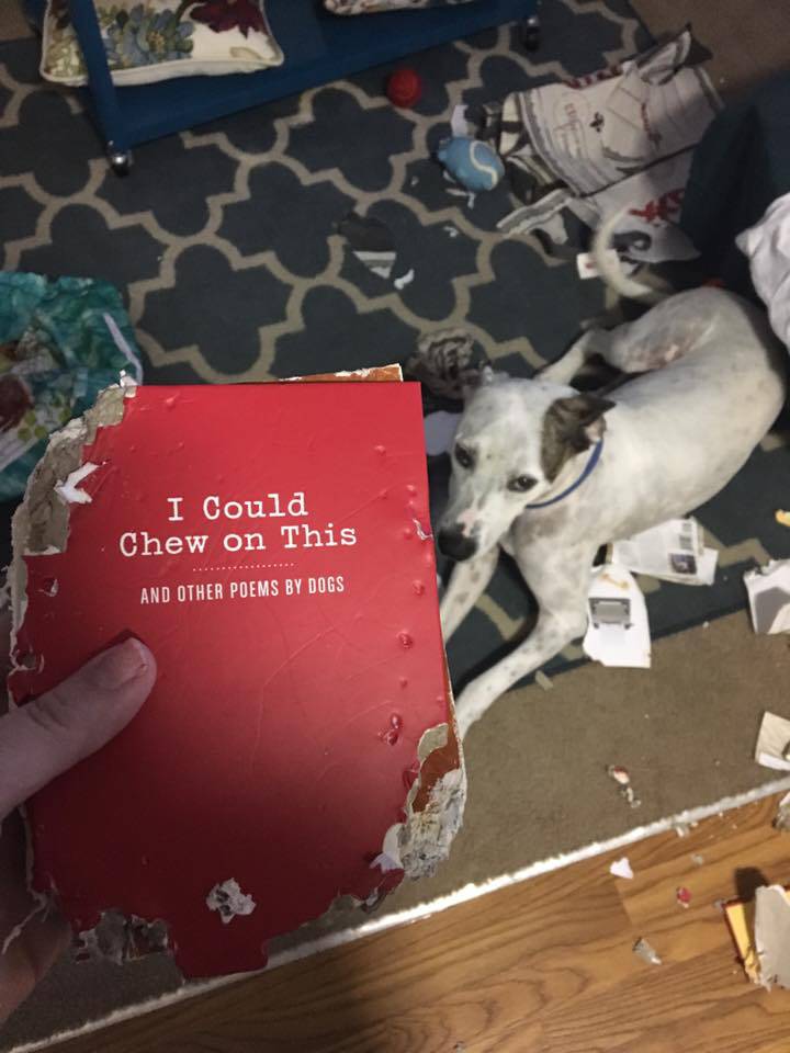�������, ���������� � �������� ����