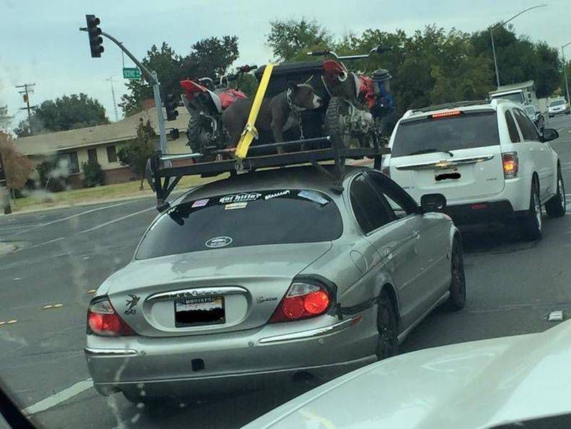 �������, ���������� � �������� ����