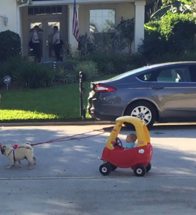 �������, ���������� � �������� ����