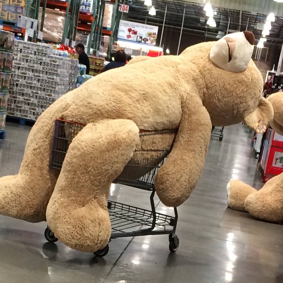 �������, ���������� � �������� ����