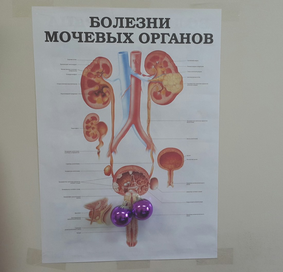 �������, ���������� � �������� ����