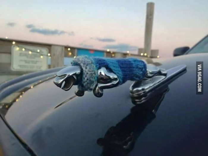 �������, ���������� � �������� ����