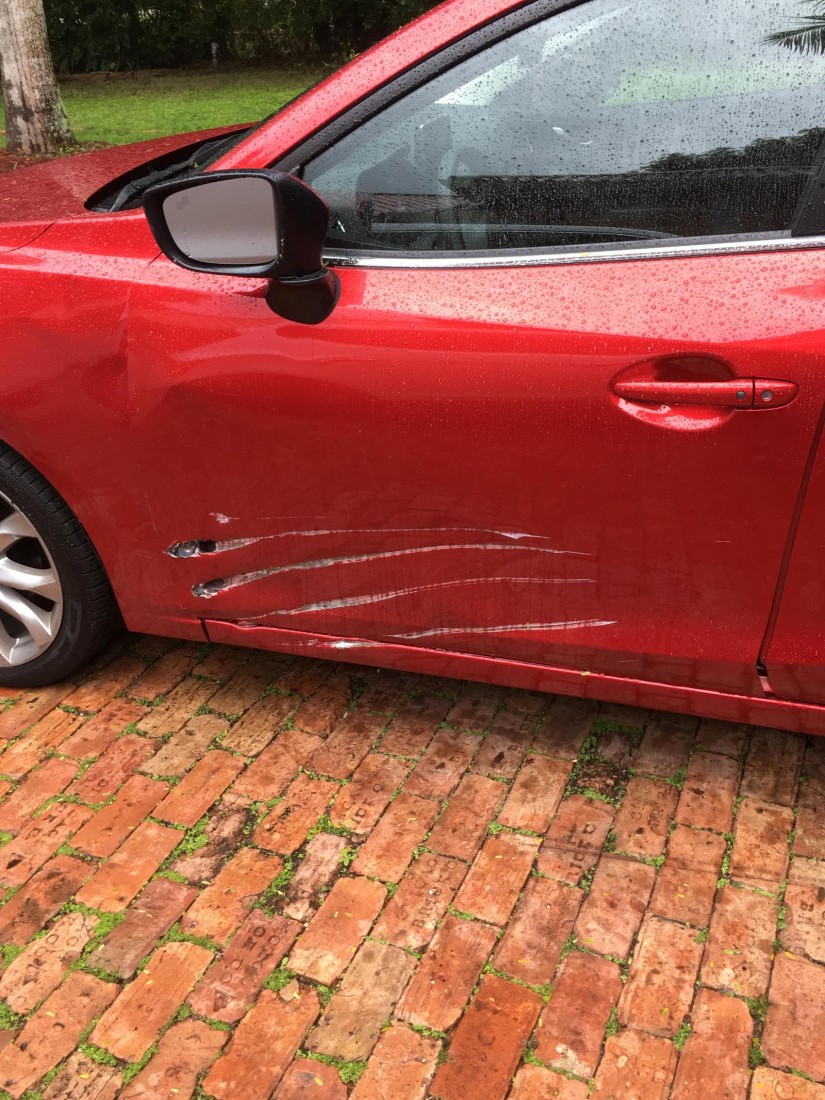 �������, ���������� � �������� ����