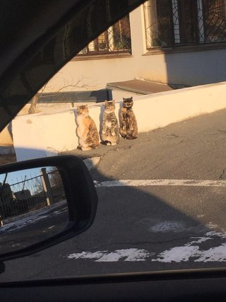 �������, ���������� � �������� ����