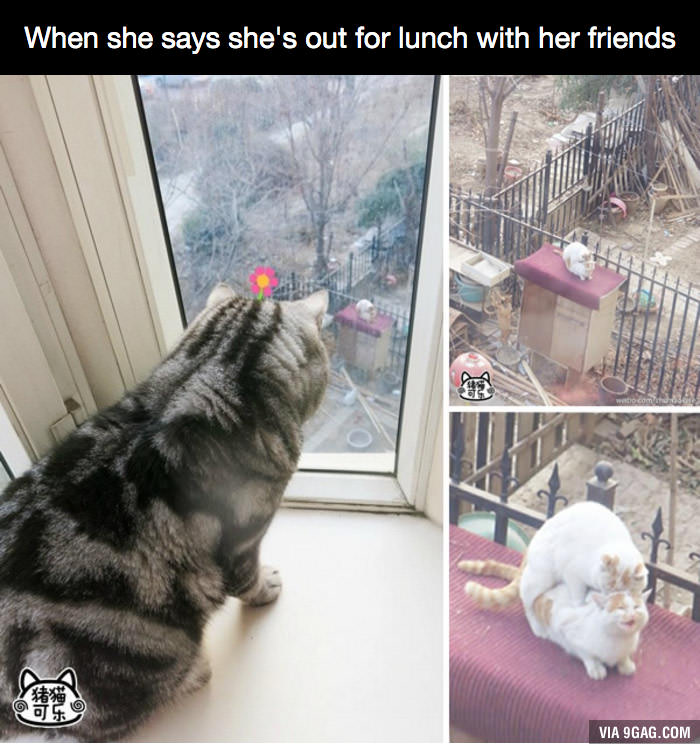 �������, ���������� � �������� ����