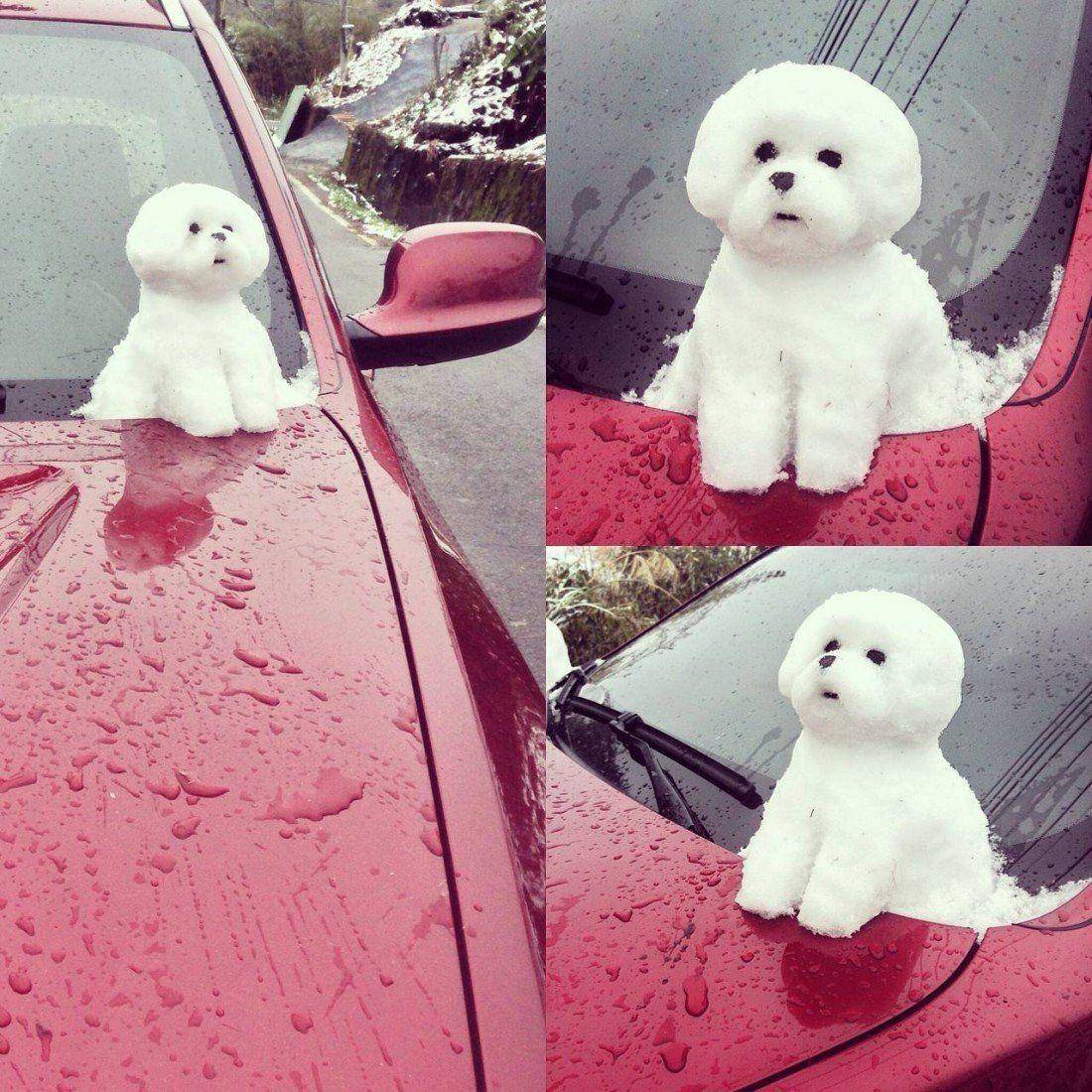 �������, ���������� � �������� ����