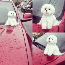 �������, ���������� � �������� ����