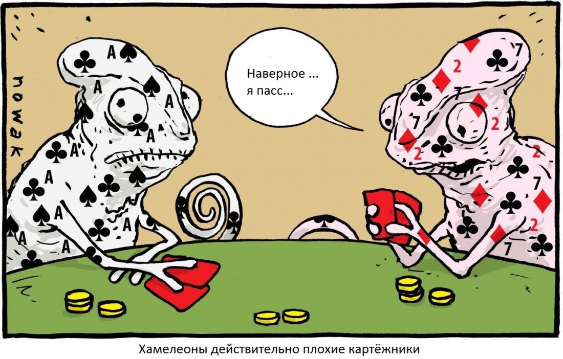 �������, ���������� � �������� ����