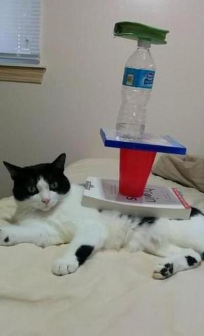 �������, ���������� � �������� ����
