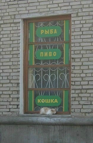 �������, ���������� � �������� ����
