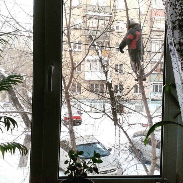 �������, ���������� � �������� ����