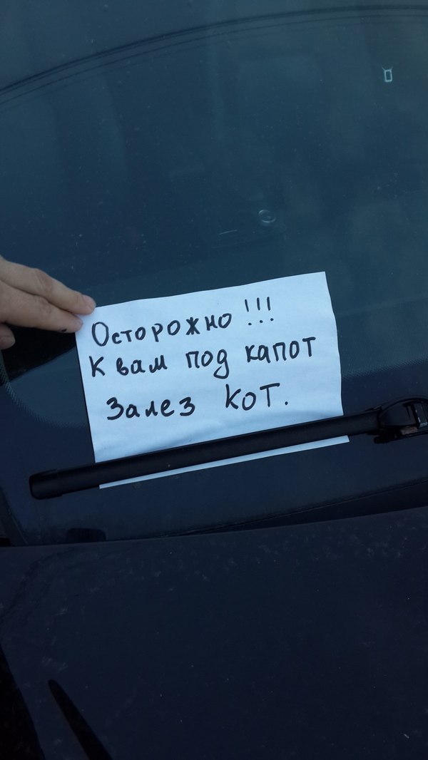 �������, ���������� � �������� ����
