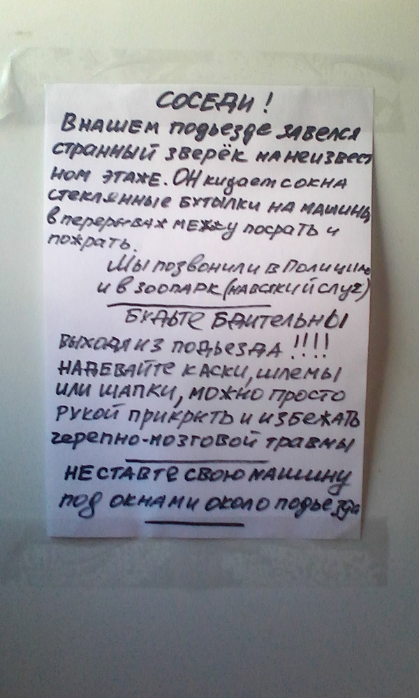�������, ���������� � �������� ����