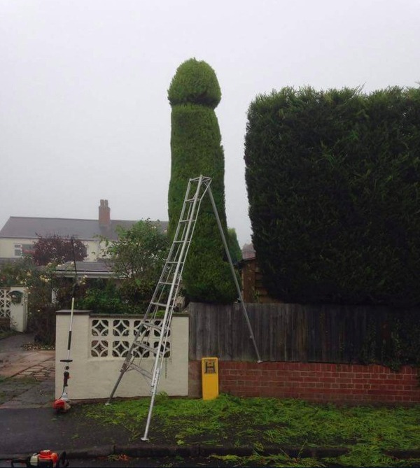 �������, ���������� � �������� ����