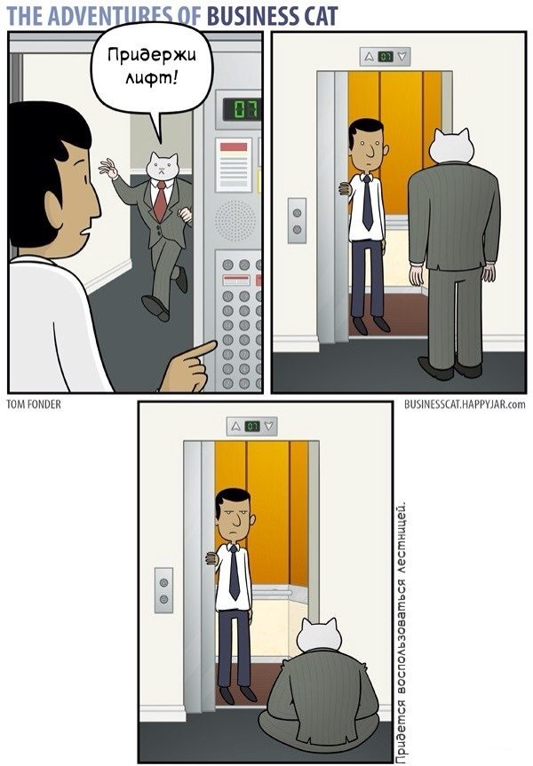 �������, ���������� � �������� ����