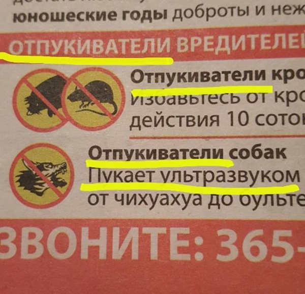 �������, ���������� � �������� ����