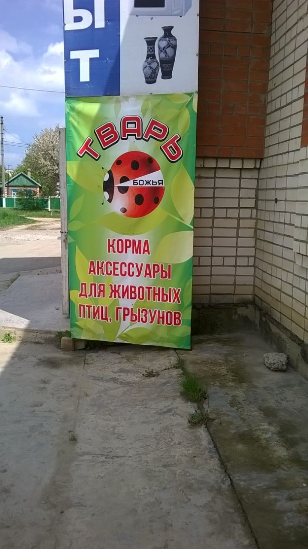 �������, ���������� � �������� ����