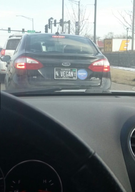 �������, ���������� � �������� ����