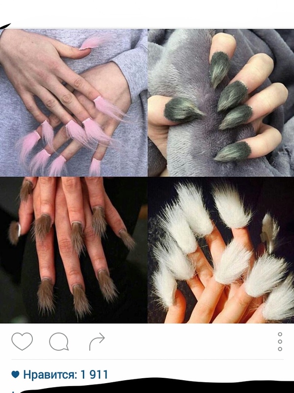 �������, ���������� � �������� ����