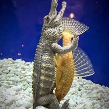 �������, ���������� � �������� ����