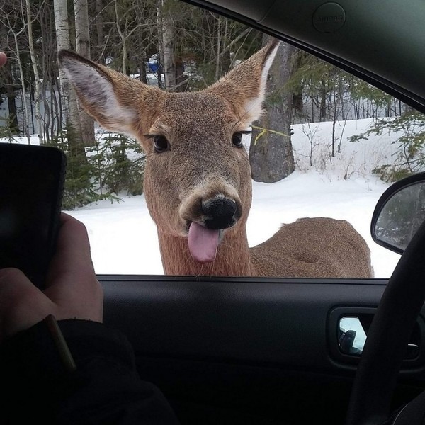 �������, ���������� � �������� ����