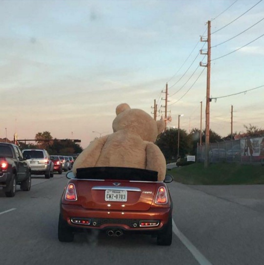 �������, ���������� � �������� ����