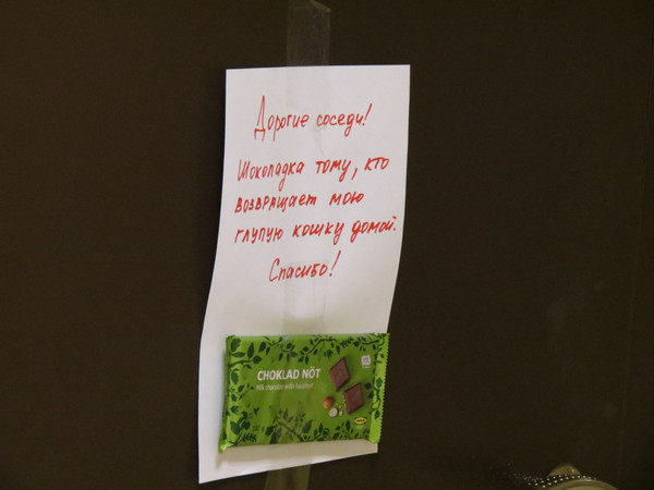 �������, ���������� � �������� ����