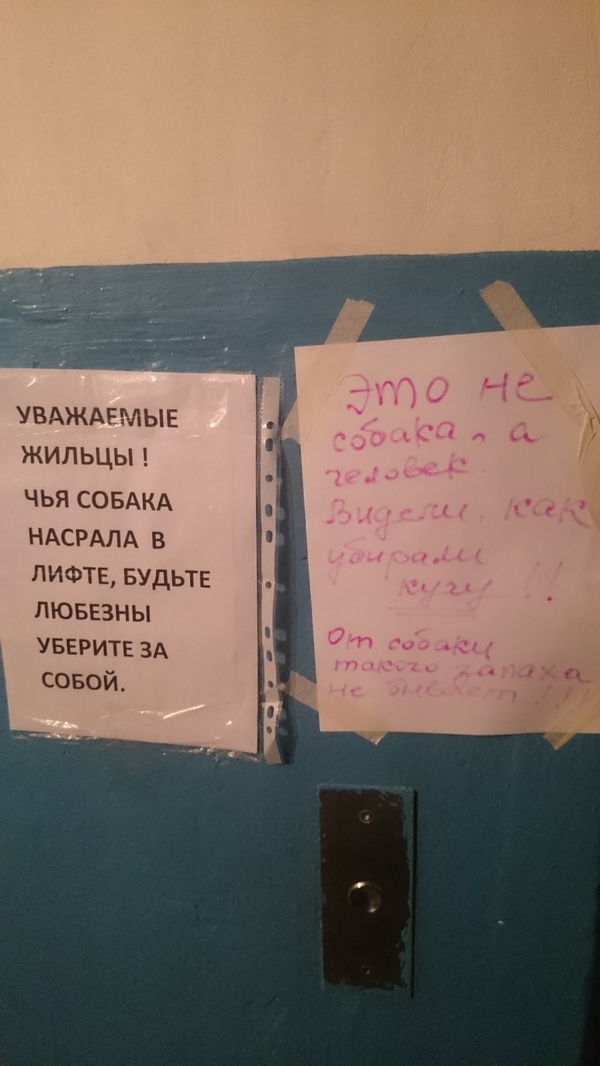 �������, ���������� � �������� ����