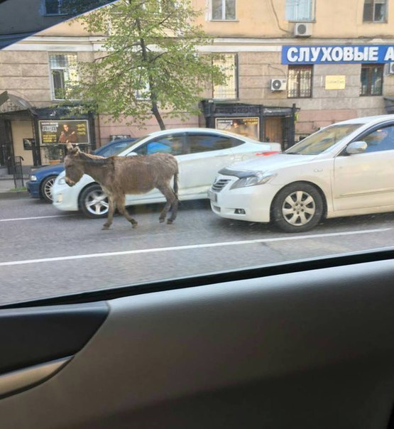 �������, ���������� � �������� ����