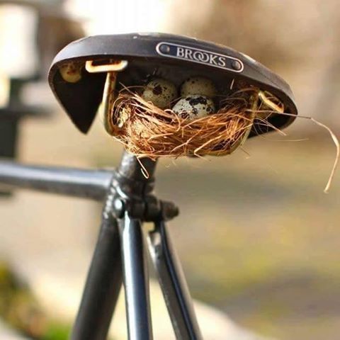 �������, ���������� � �������� ����