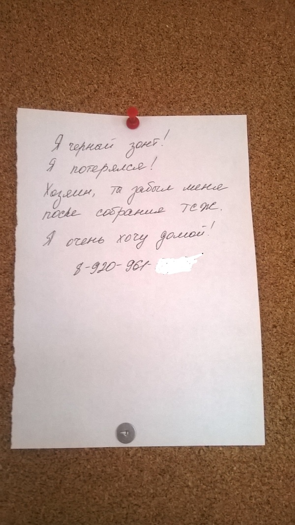 �������, ���������� � �������� ����