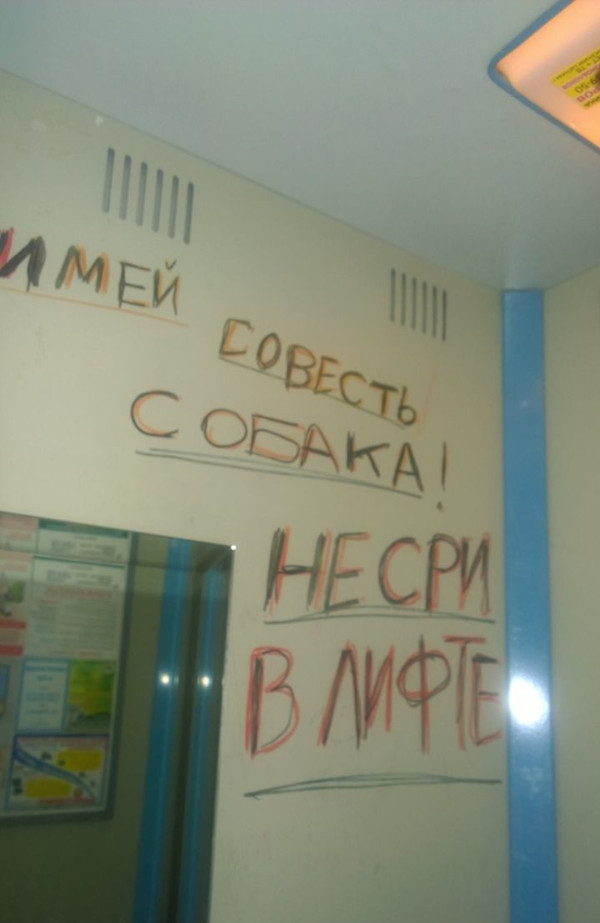 �������, ���������� � �������� ����