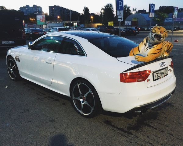 �������, ���������� � �������� ����