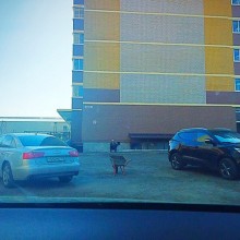 �������, ���������� � �������� ����