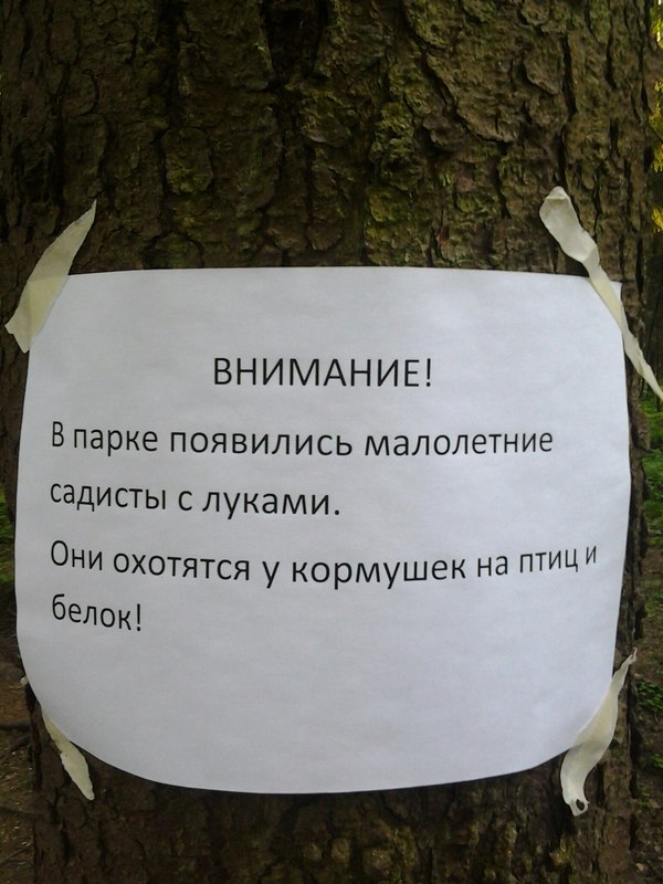 �������, ���������� � �������� ����