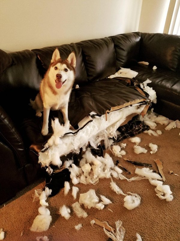 �������, ���������� � �������� ����