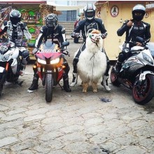 �������, ���������� � �������� ����